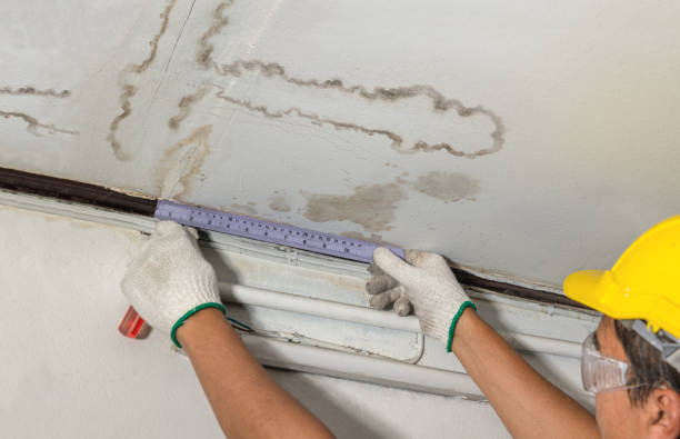 Reliable Structural Drying contractor in Harrisville, WV by Water Damage Irwin